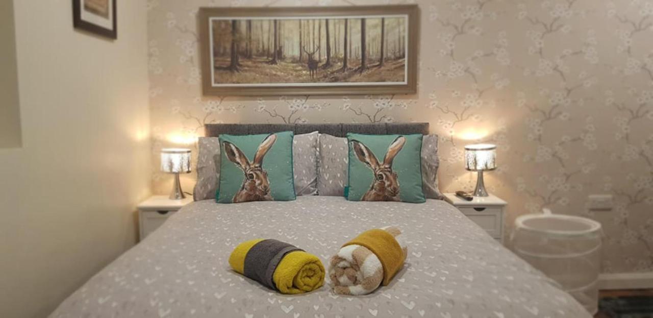 Ballynahinch The Musical Ceol Cottage 1-Bedroom - Sleeps Four מראה חיצוני תמונה